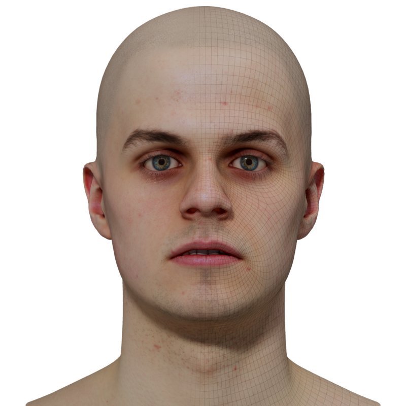 Male 3D model / Retopologised Head Scan 06