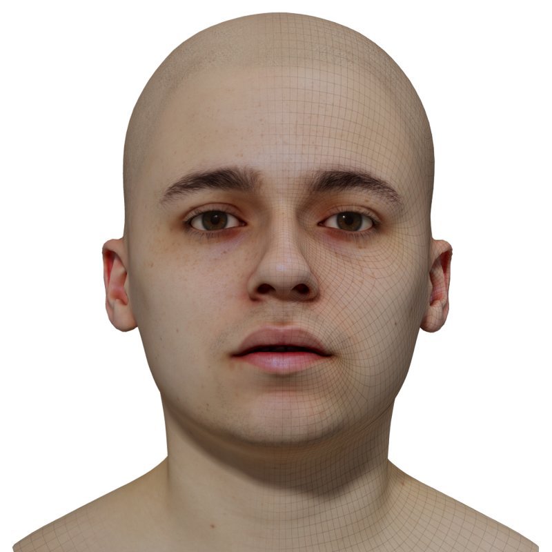 Male 3D model / Retopologised Head Scan 08