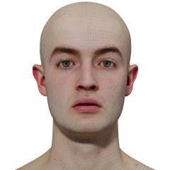 Male 3D model / Retopologised Head Scan 010