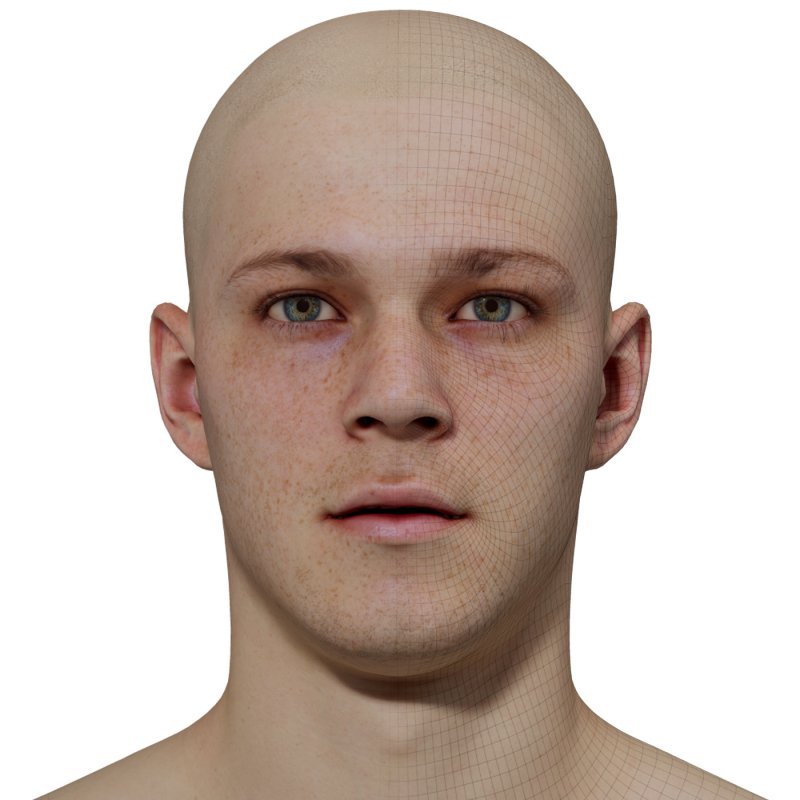 Male 3D model / Retopologised Head Scan 011