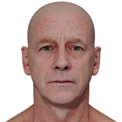 Male 3D model / Retopologised Head Scan 013
