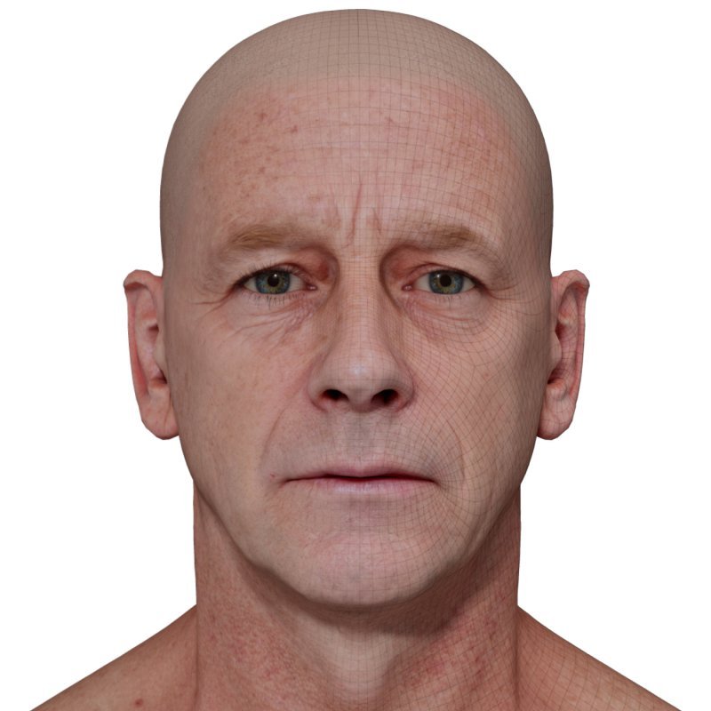 3D Head Model  / Male Head Scan