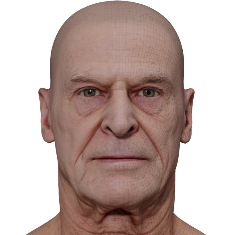 3D Head Model  / Male Head Scan