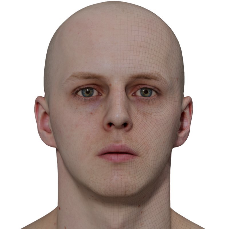 Male 3D model / Retopologised Head Scan 015