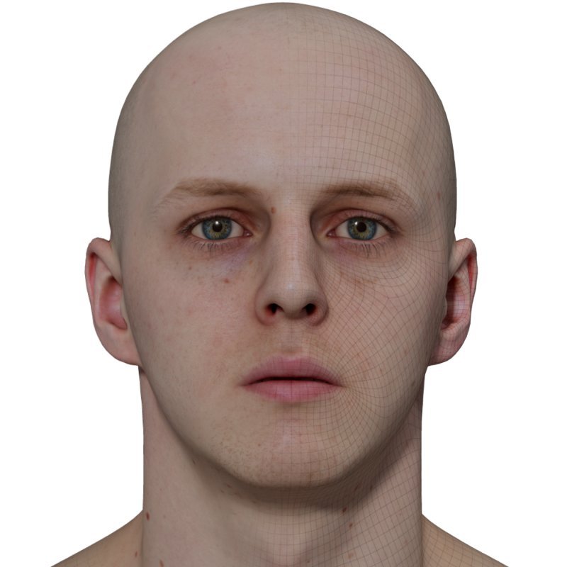 3D Head Model  / Male Head Scan