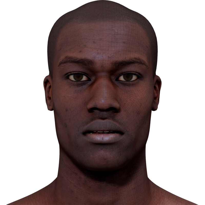 Male 3D model / Retopologised Head Scan 016