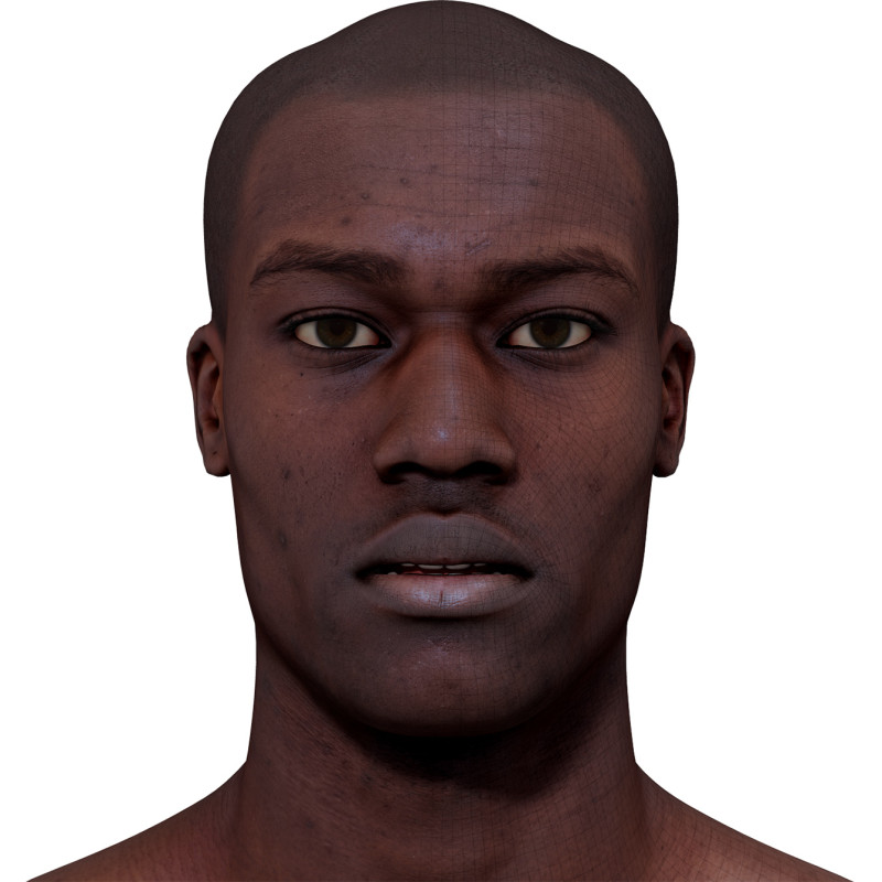 3D Head Model  / Male Head Scan