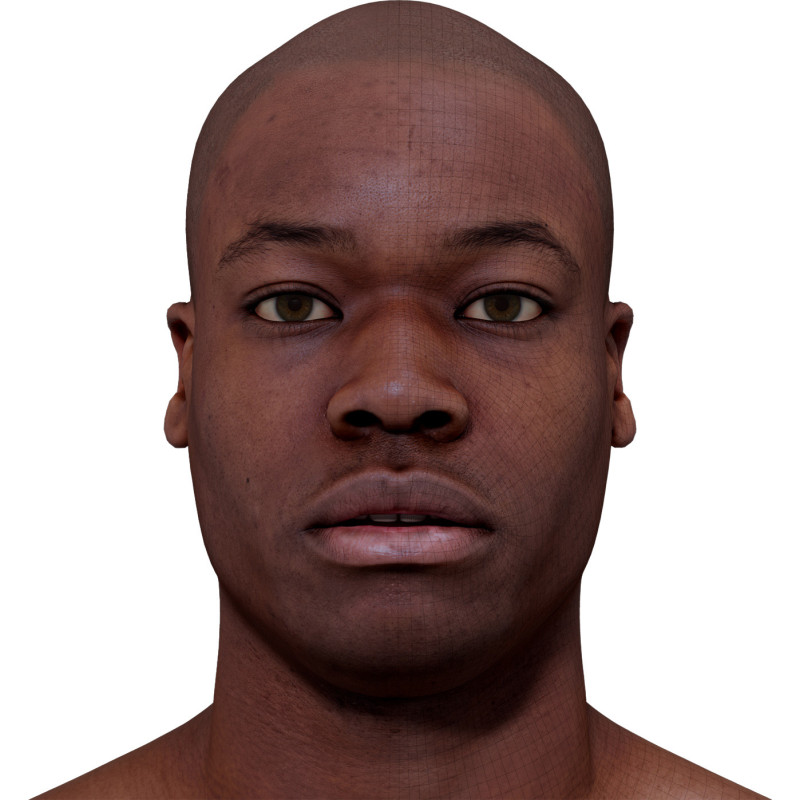 Male 3D model / Retopologised Head Scan 017