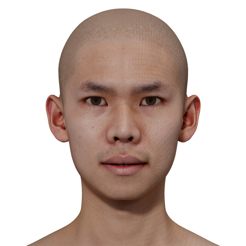 Male 3D model / Retopologised Head Scan 019