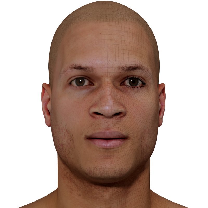 Male 3D model / Retopologised Head Scan 021
