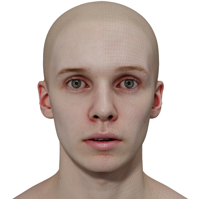 Male 3D model / Retopologised Head Scan 023