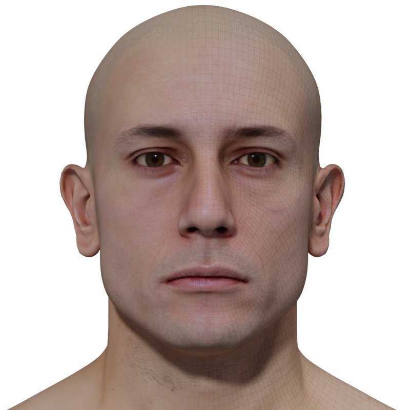 Male 3D model / Retopologised Head Scan 024
