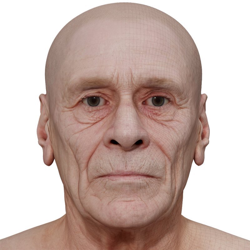 Male 3D model / Retopologised Head Scan 025