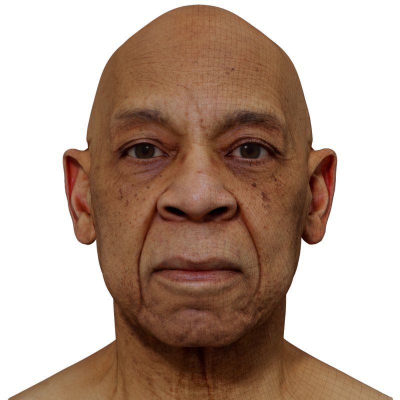 Male 3d Head Scan Model 027