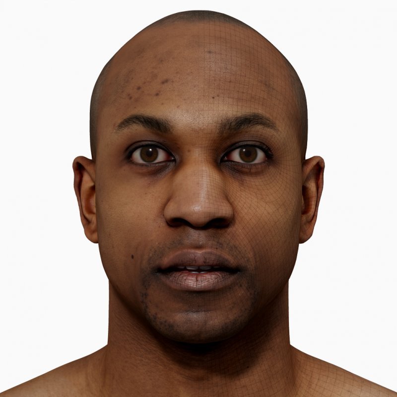 Male 3D model / Retopologised Head Scan 28