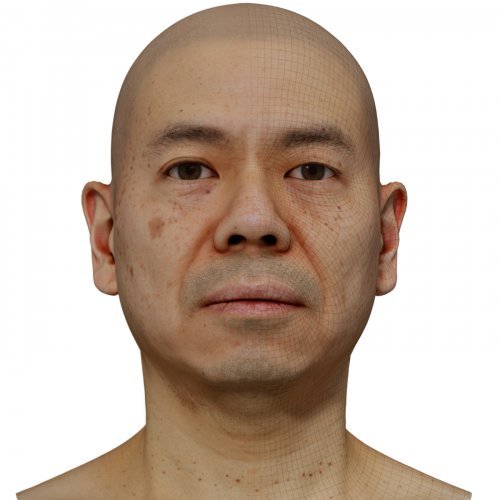 Male 3D model / Retopologised Head Scan 29