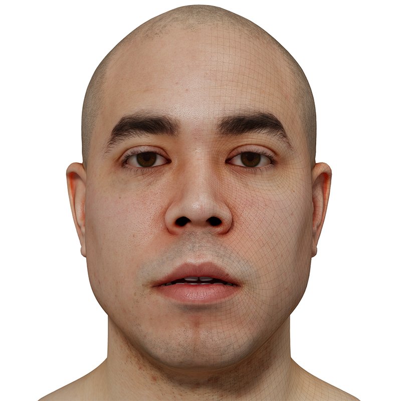Male 3D model / Retopologised Head Scan 30