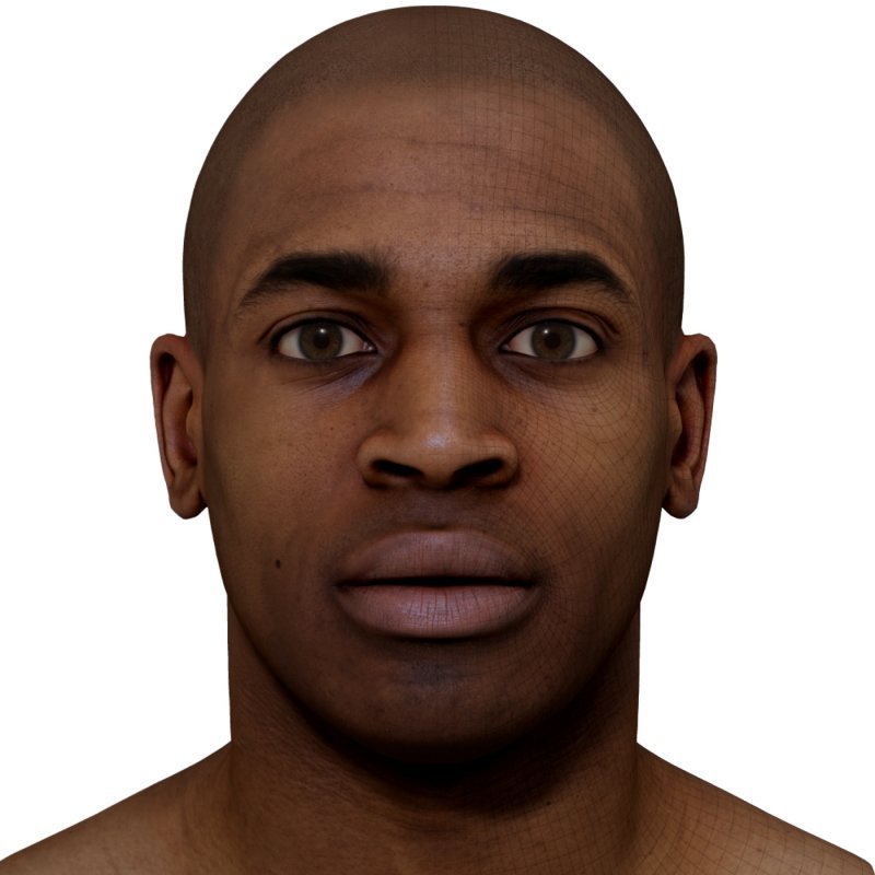 Male 3D model / Retopologised Head Scan 31