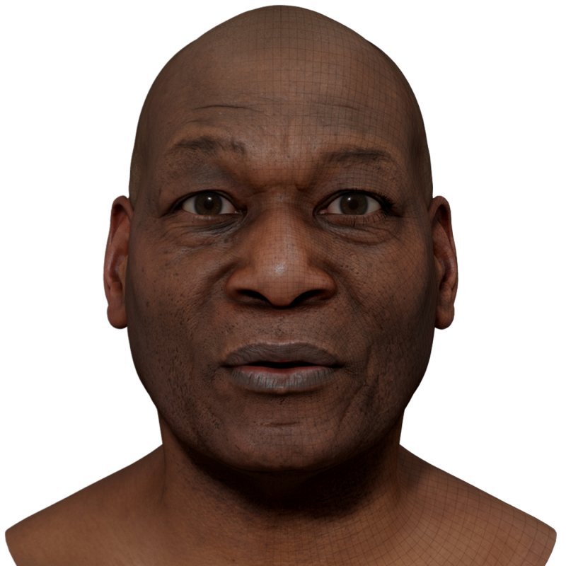 Male 3D model / Retopologised Head Scan 32