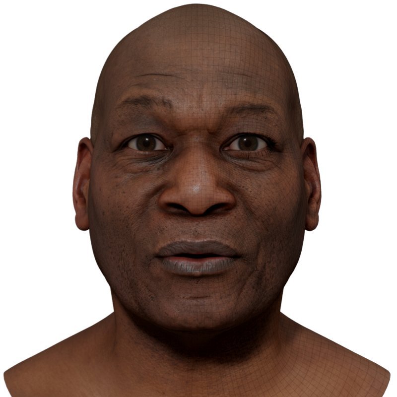 3D Male Head Model download