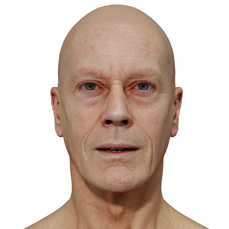 Male 3D model / Retopologised Head Scan 33