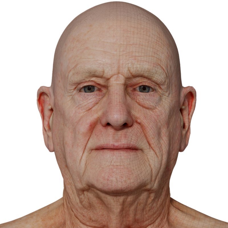 Male 3D model / Retopologised Head Scan 35