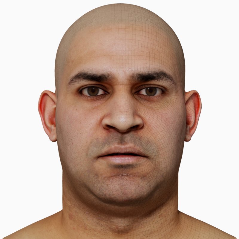 3D Male Head Model download