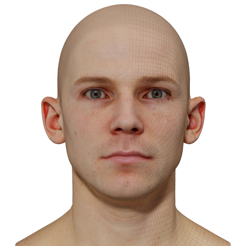 3D Male Head Model download