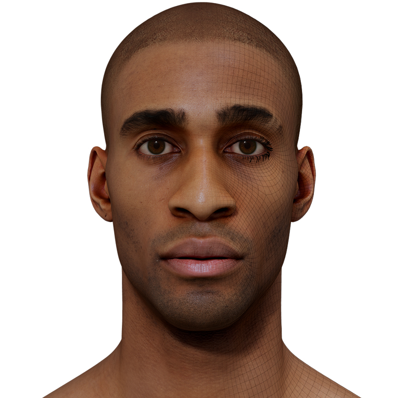 3D Male Head Model download