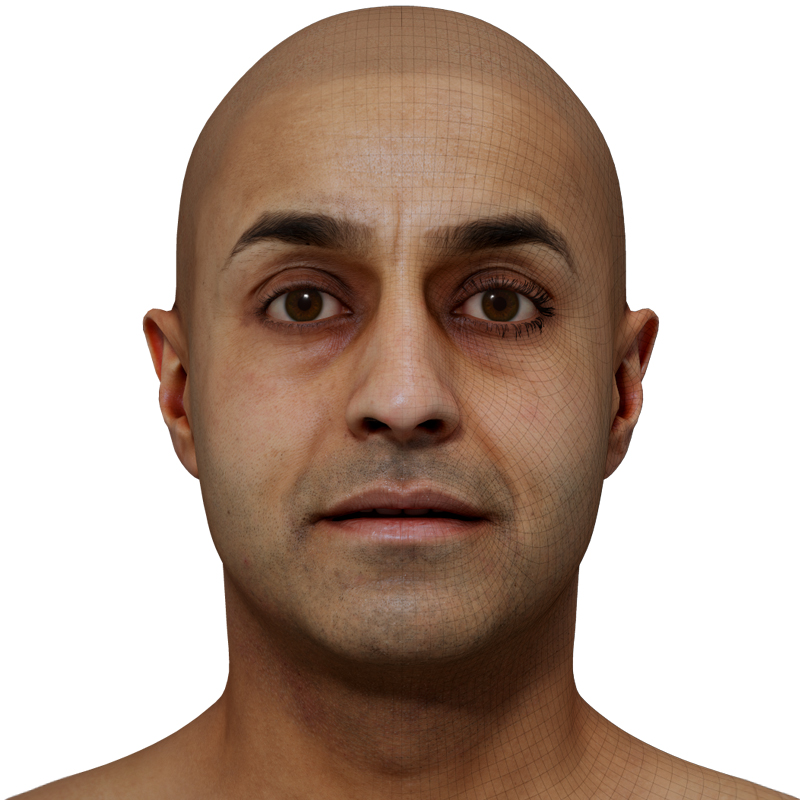 3D Male Head Model download