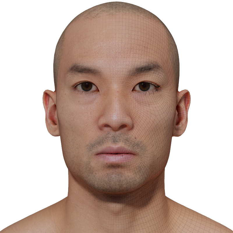 Male 3D model / Retopologised Head Scan 42