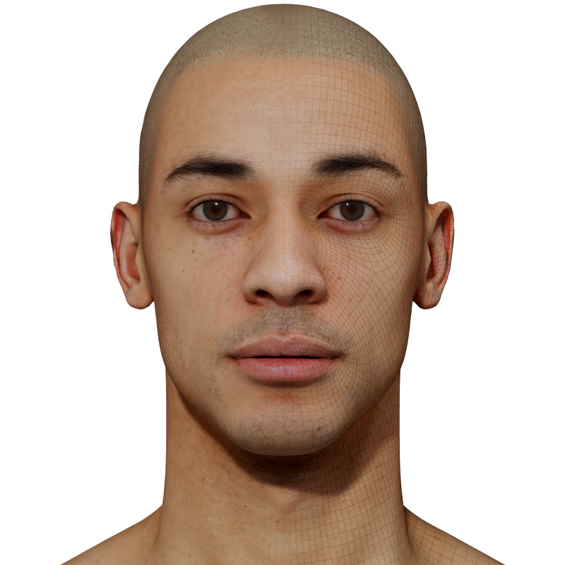 Male 3D model / Retopologised Head Scan 43