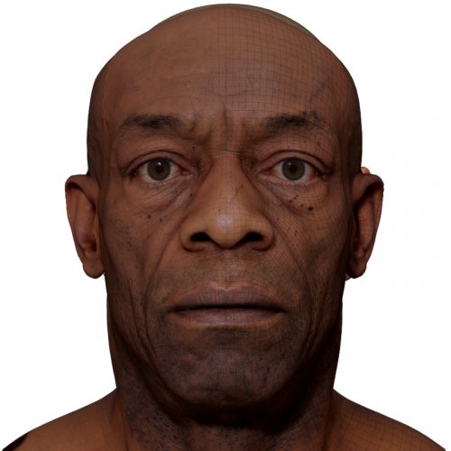 Male 3D model / Retopologised Head Scan 46