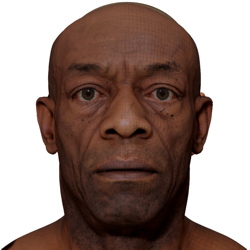 Male 3D model / Retopologised Head Scan 46