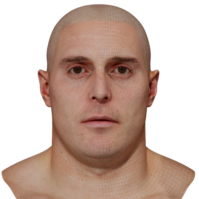 3D Male Head Model download