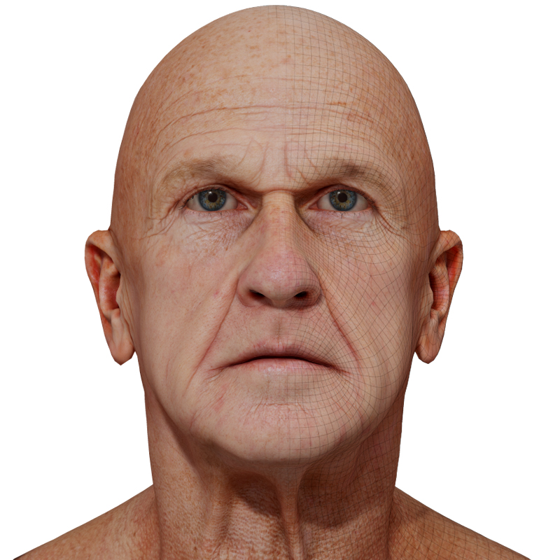 Male 3D model / Retopologised Head Scan 49