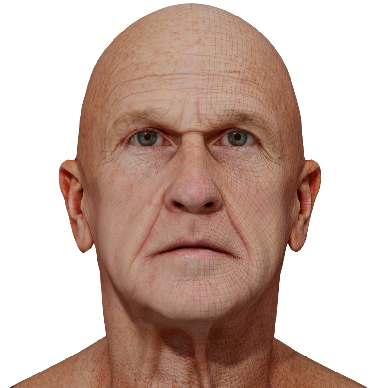 3D Male Head Model download