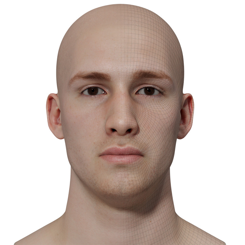 3D Male Head Model download