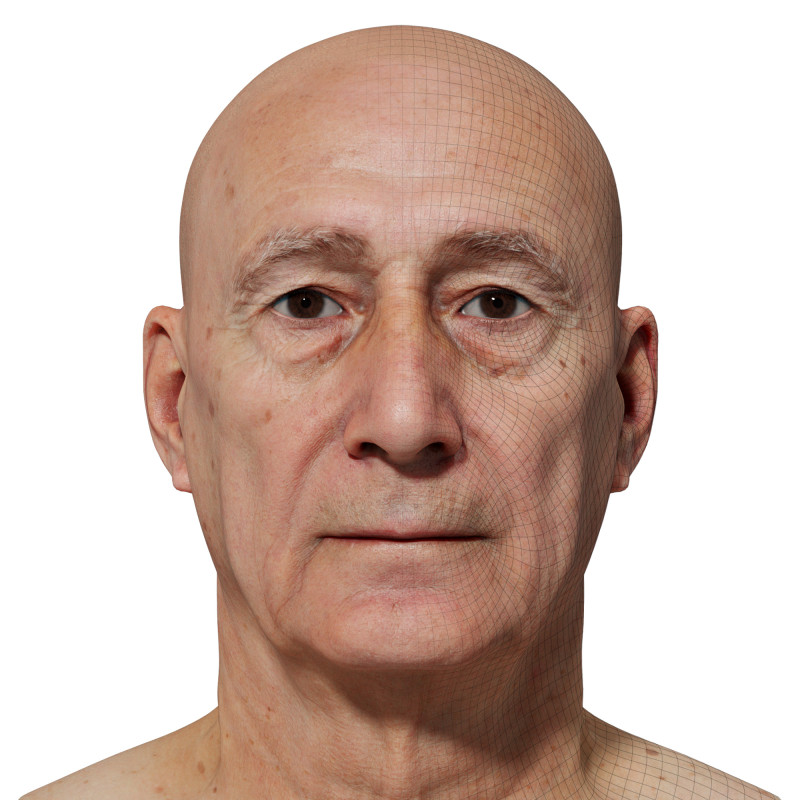 Male 3D model / Retopologised Head Scan 52