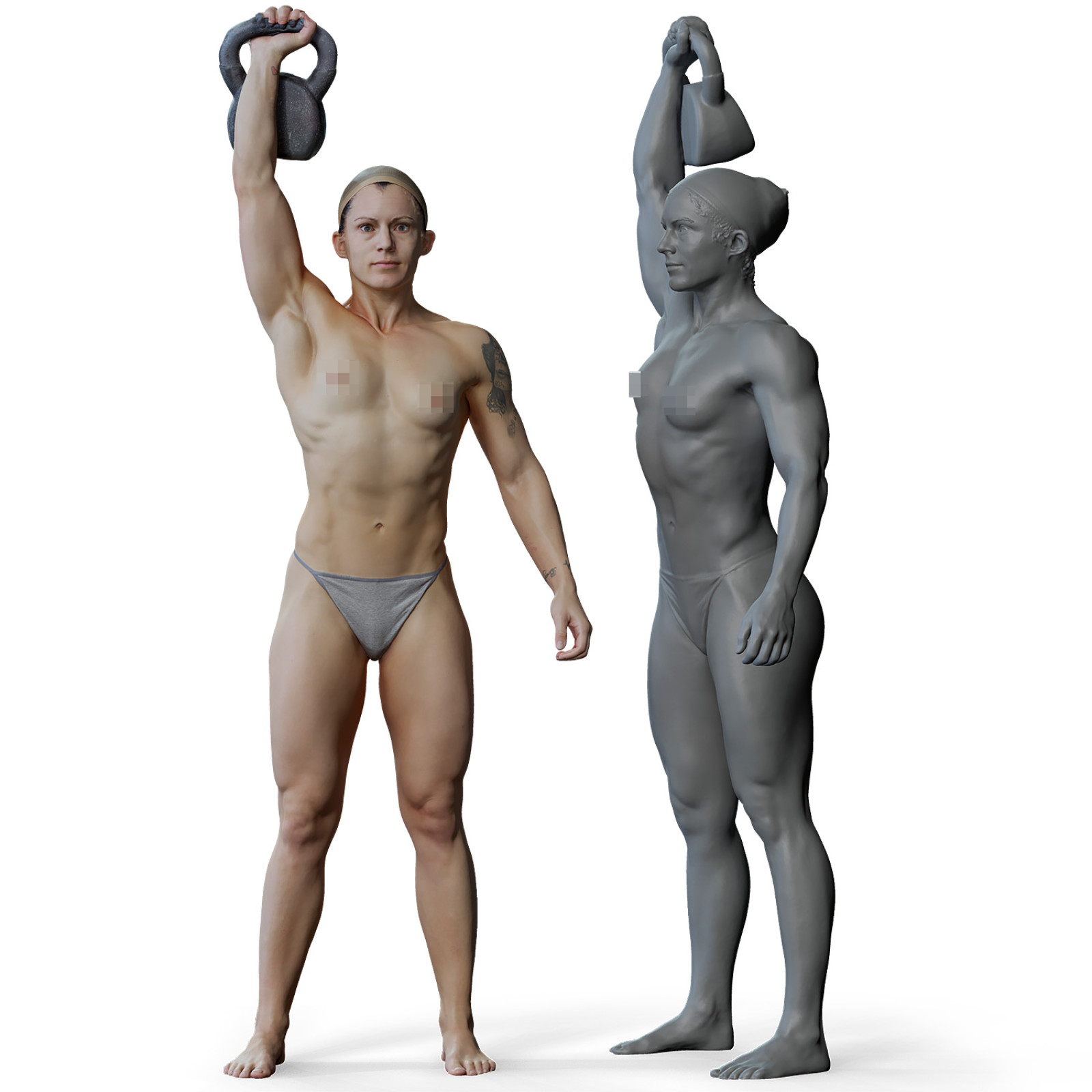 Male Torso