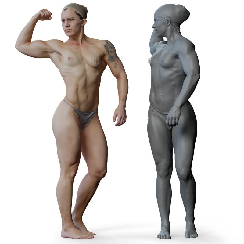 Female anatomy reference 3d model 