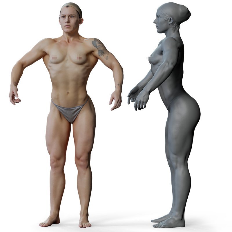 Female anatomy reference 3d model 