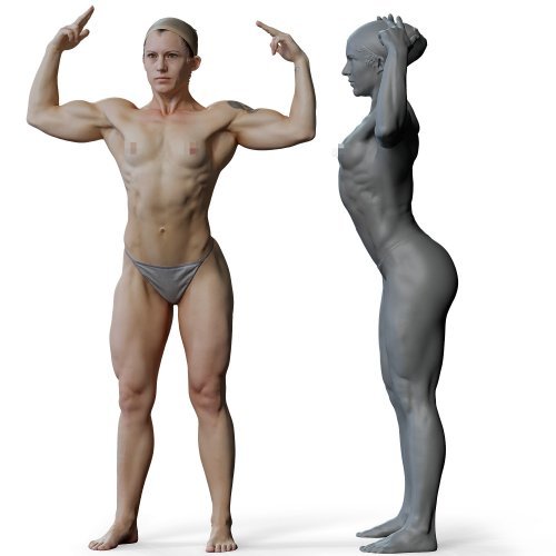 Female 01 Anatomy Reference Pose 013