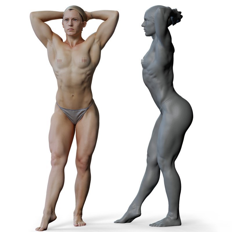 Female anatomy reference 3d model 