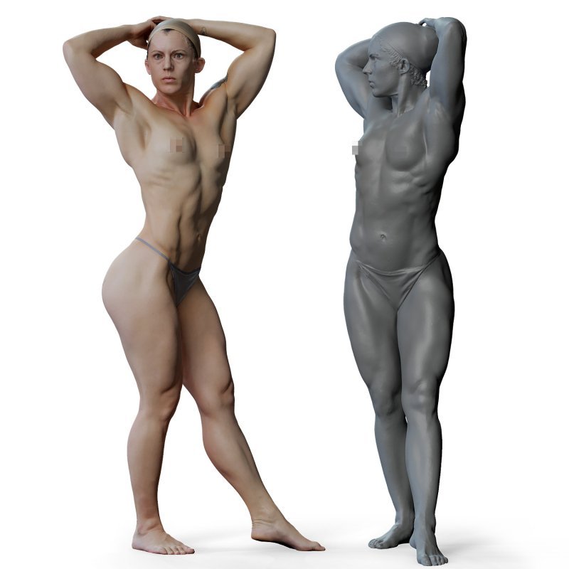 Female anatomy reference 3d model 