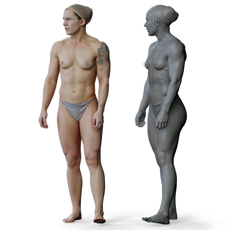 Female anatomy reference 3d model 