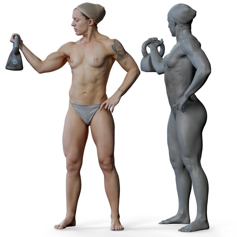 Female anatomy reference 3d model 