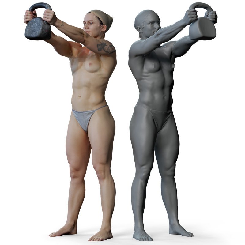 Female anatomy reference 3d model 