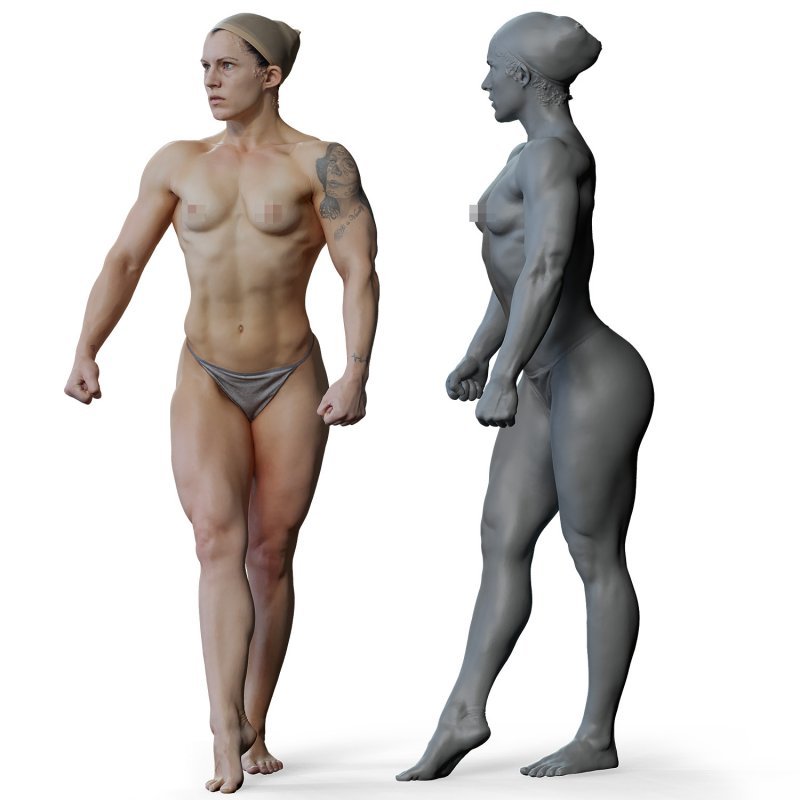 Female anatomy reference 3d model 