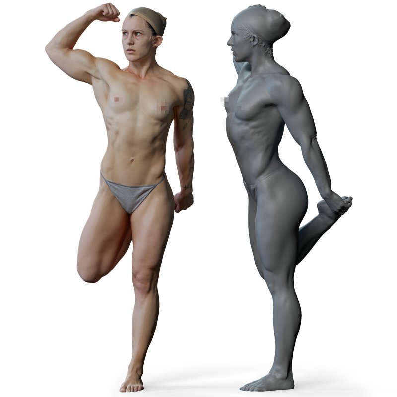 Female anatomy reference 3d model 